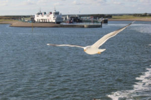 Teso veerdienst Den Helder Texel